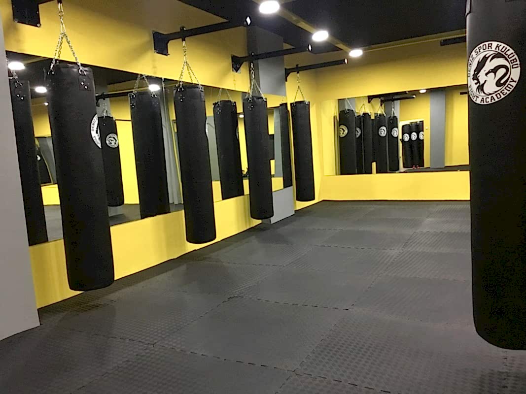 boks-salonu-1_1067x800